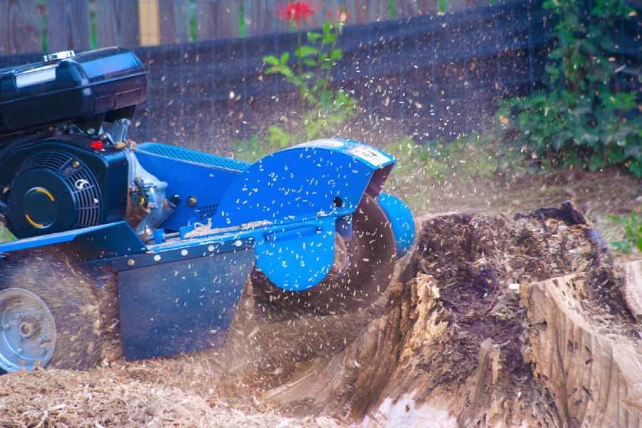 Stump Extraction