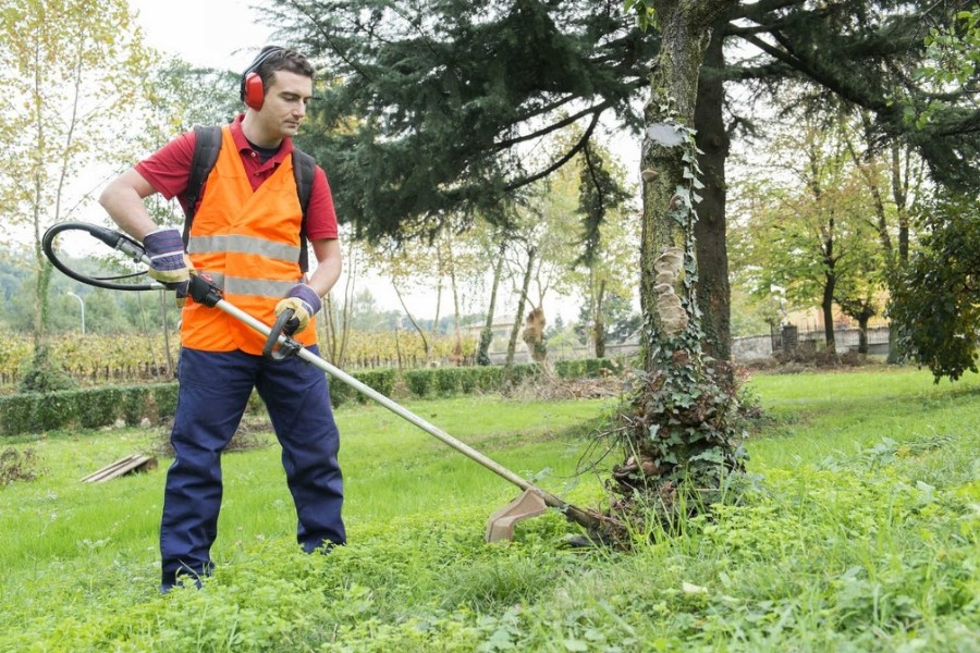 Yard Cleanup